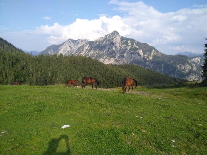 Mountainlove Strobl Exteriör bild